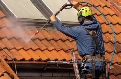 Démoussage et hydrofuge de toiture à Lantriac